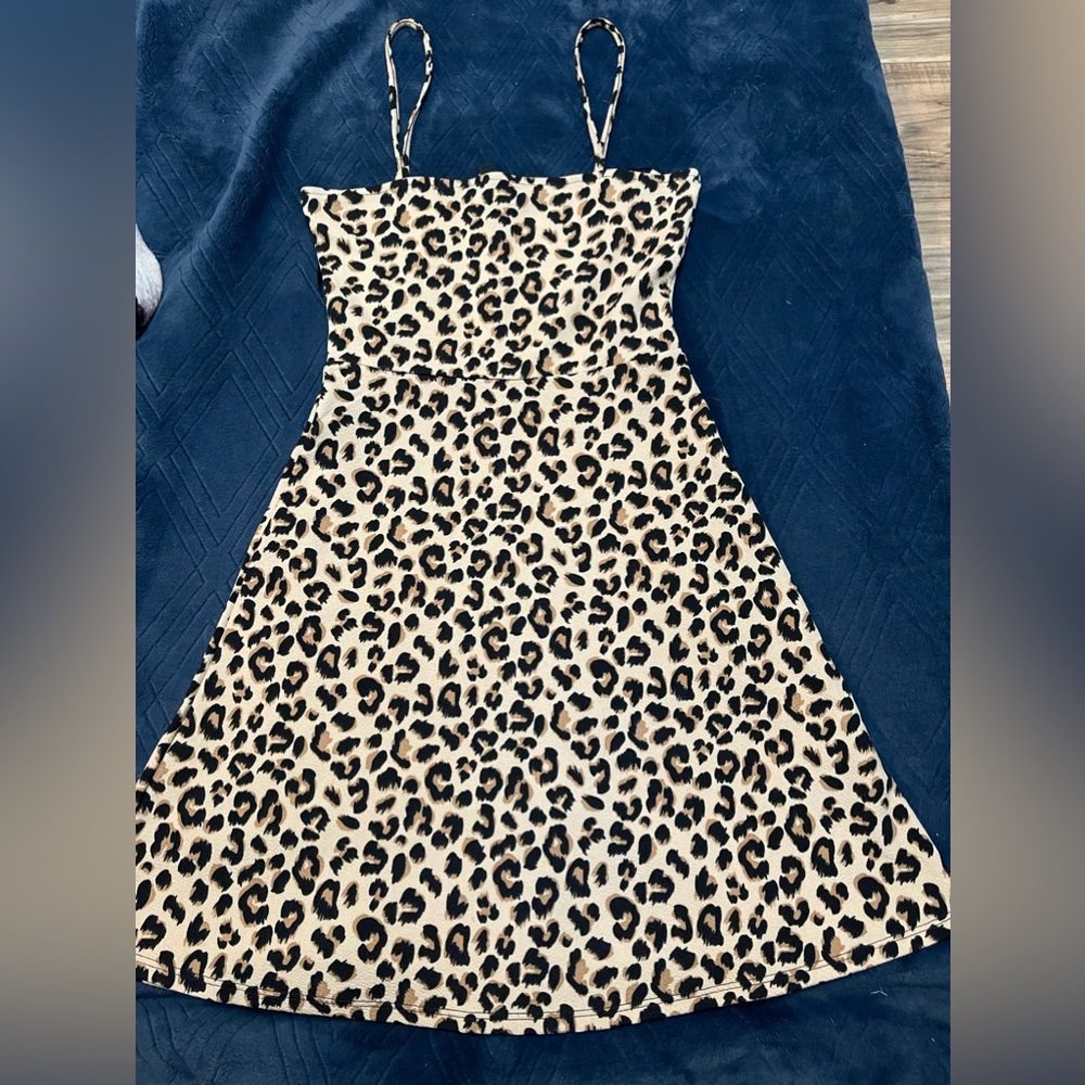 size 0 Divided dress